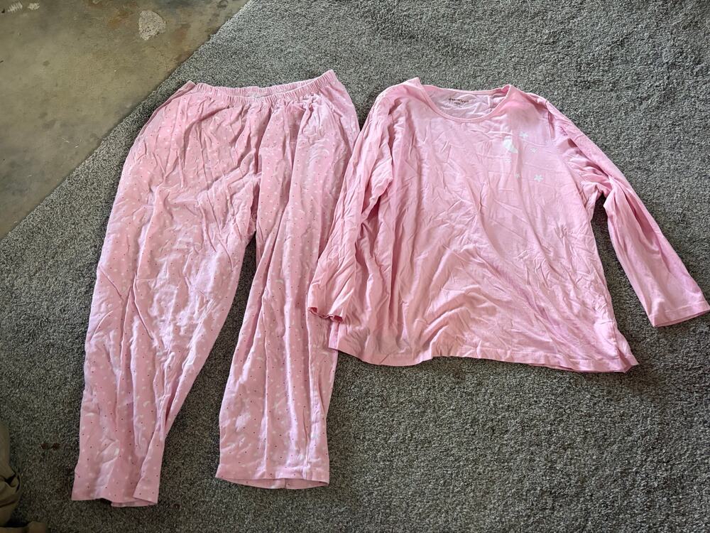 Dreams and Co womens large pink pajama set